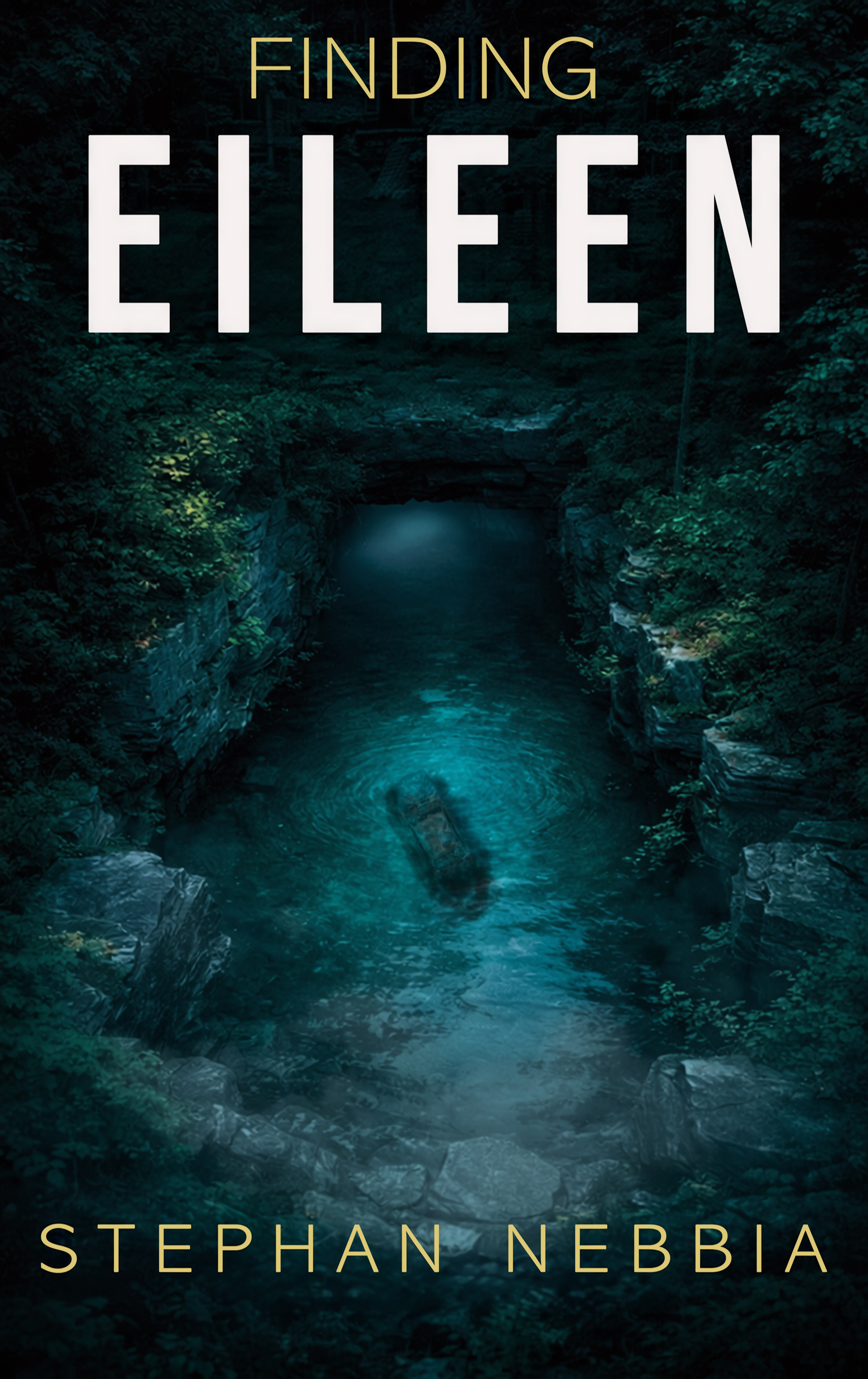 Cover of FINDING EILEEN
