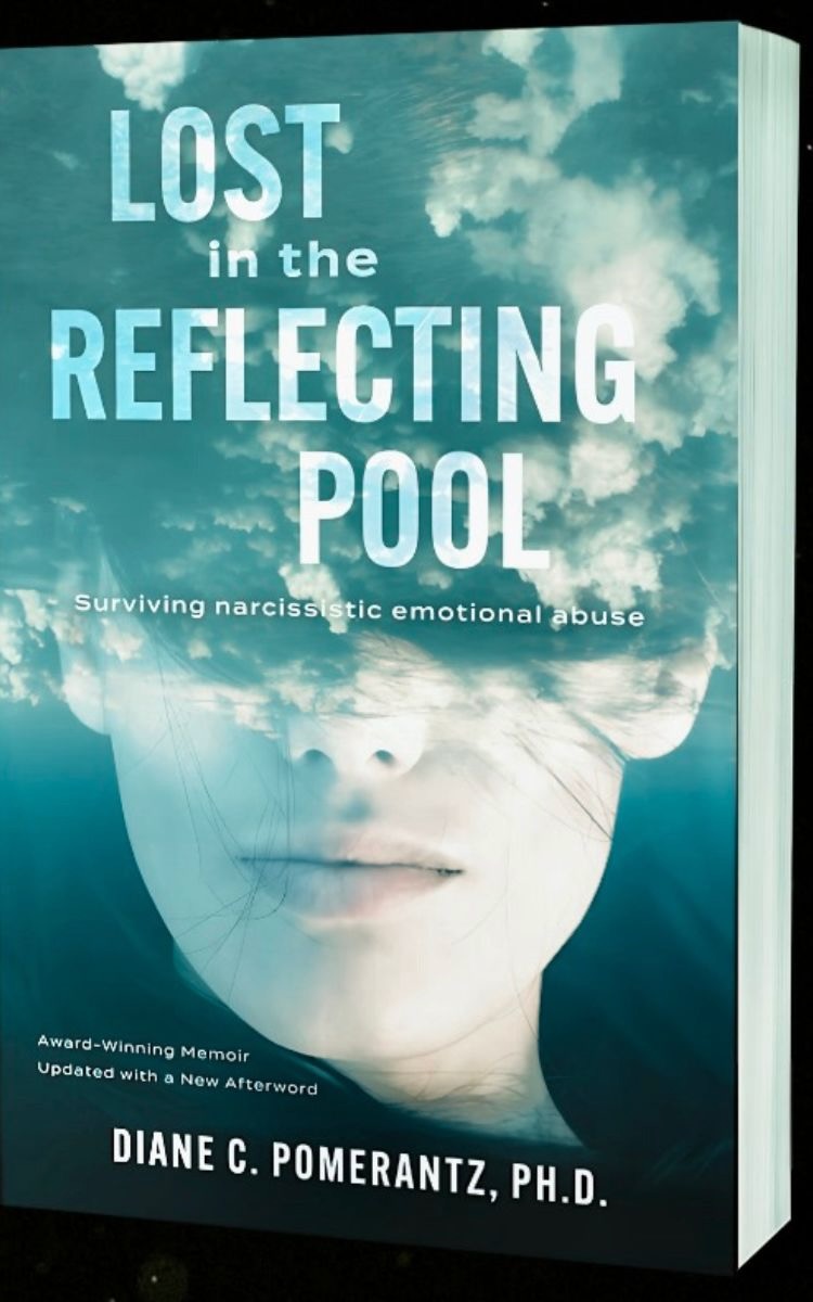 Cover of Lost in the Reflecting Pool
